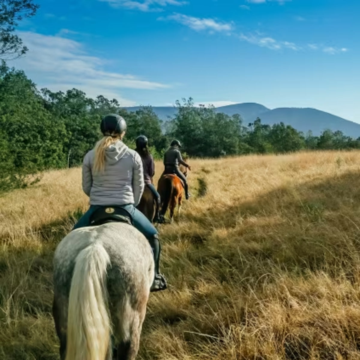 Kurland Horseback Riding