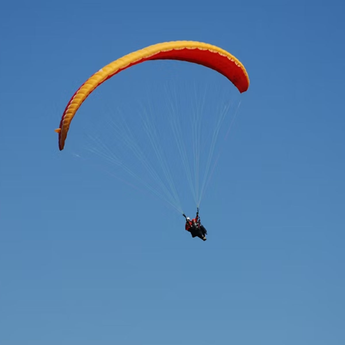 Cape Town Paragliding
