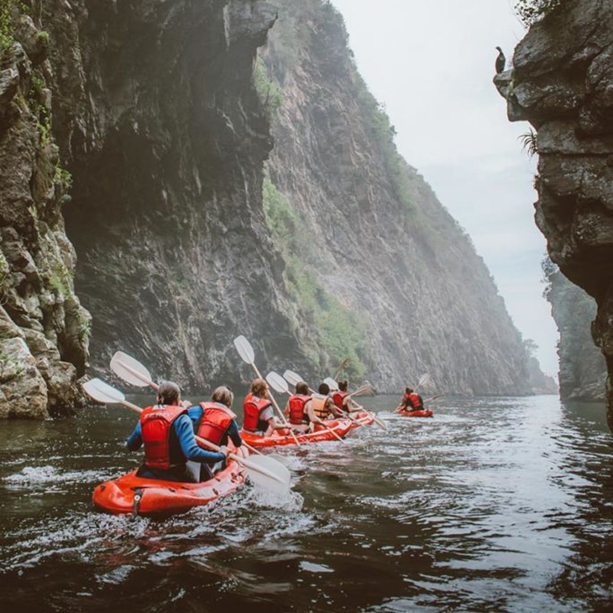 Tsitsikamma Kayaking