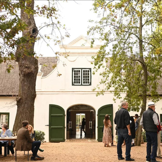 Stellenboch Wine Tour