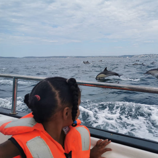 Whale Watching Rides