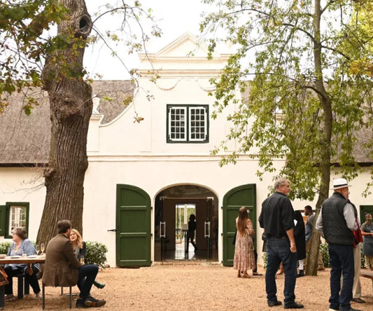 Stellenboch Wine Tour